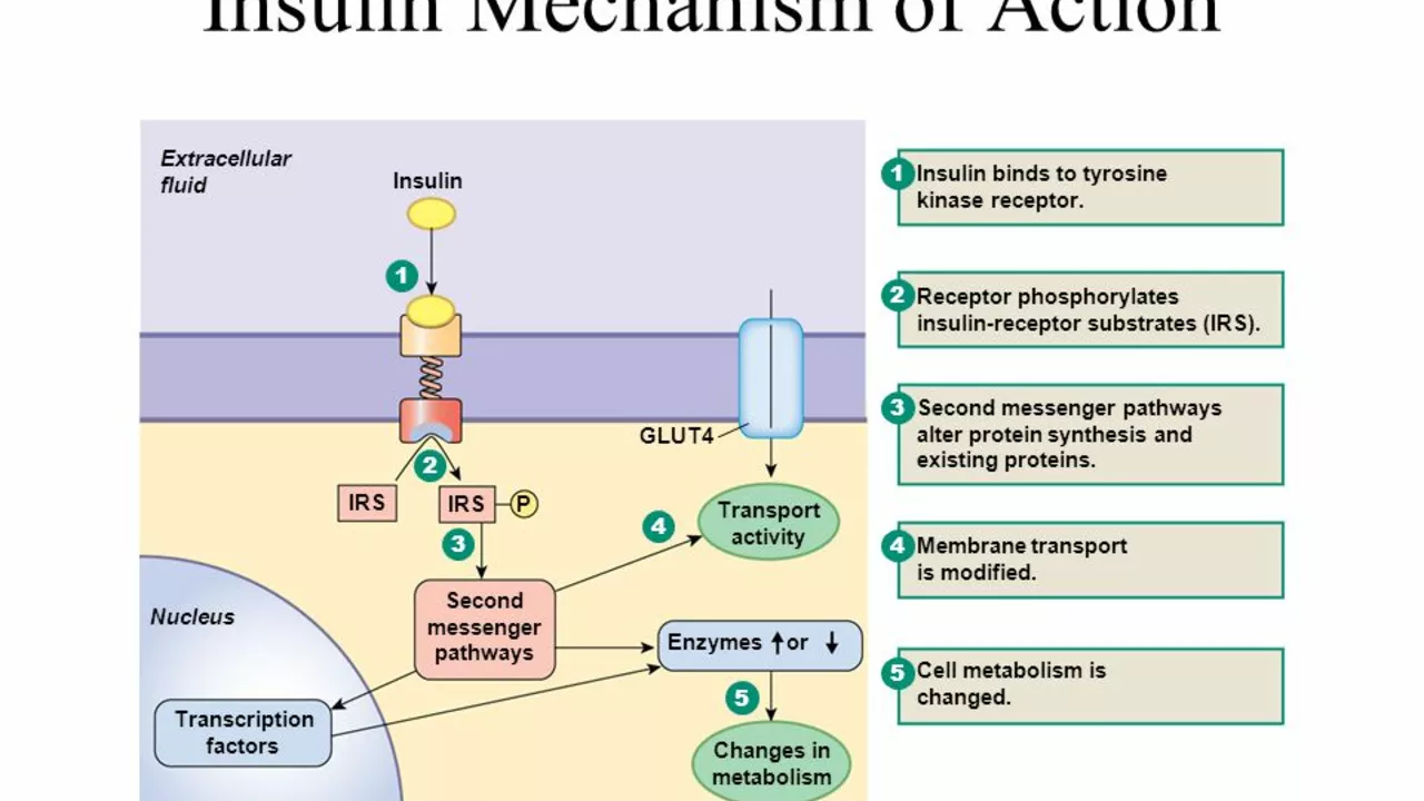 The Science Behind Triamcinolone: Understanding Its Mechanism of Action